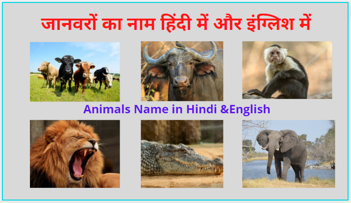 जानवरों के नाम हिंदी और इंग्लिश में l Janwar ke Naam Hindi me