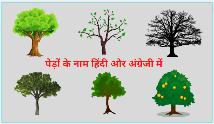 trees-name-in-hindi